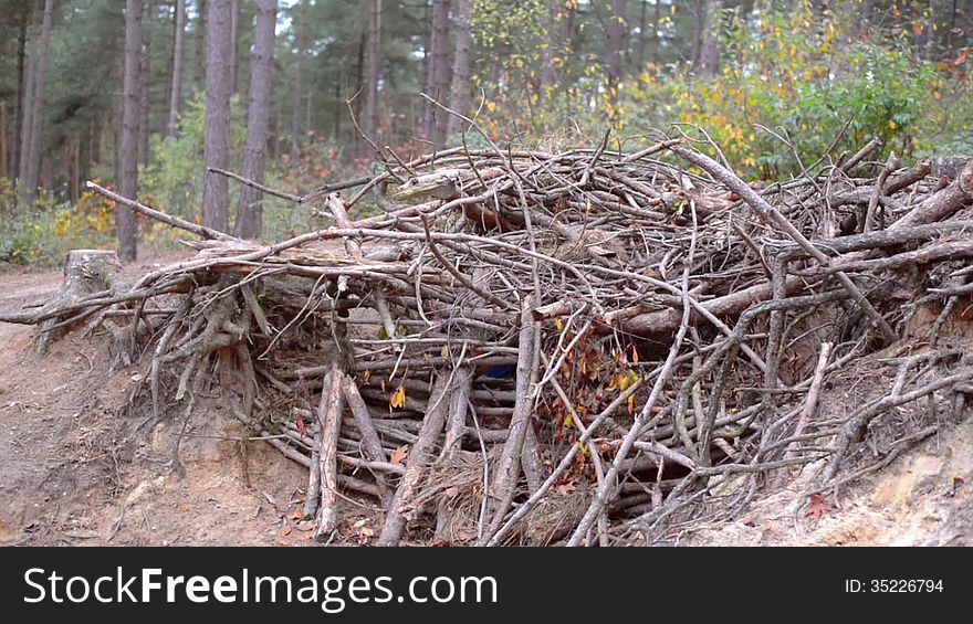 Kid building shanty in a forest