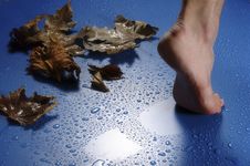 Foot And Leaves Royalty Free Stock Photos Foot And Leaves Royalty Free Stock Photos