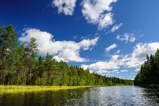 Karelian Woods Royalty Free Stock Image Karelian Woods Royalty Free Stock Image