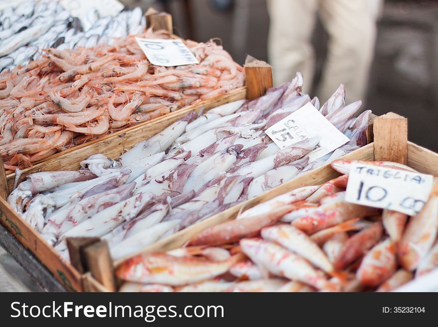 Fresh fish, shrimps and calamari in the fish market