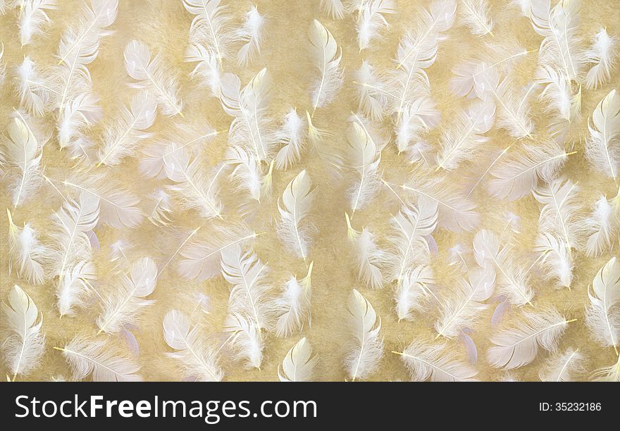 Feathers on the carpet, distributed for the background or texture design. Feathers on the carpet, distributed for the background or texture design