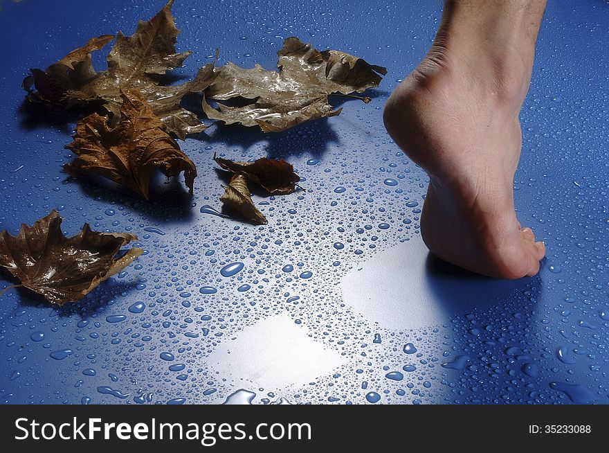 Autumn metaphore, foot, drops and leaves. Autumn metaphore, foot, drops and leaves