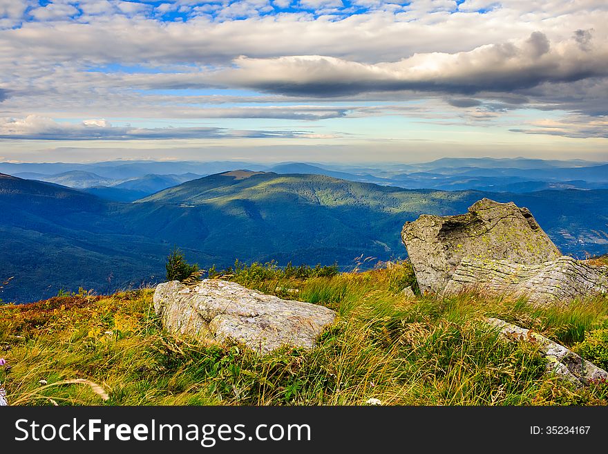 Coniferous forest on a steep mountain slope. Coniferous forest on a steep mountain slope