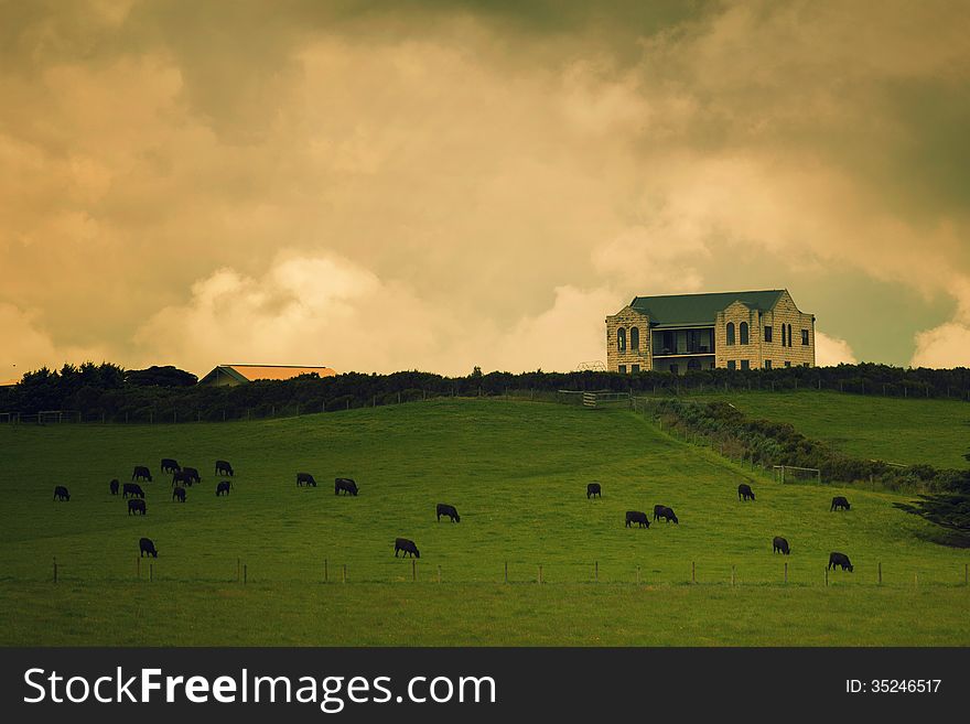 Spooky Mansion On Hill