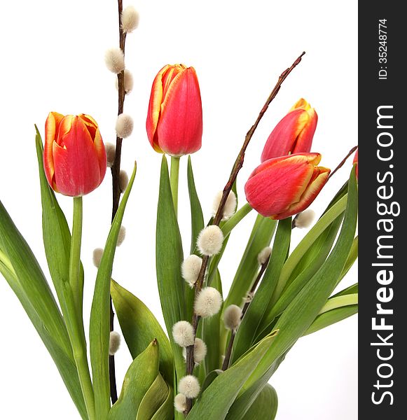 Bouquet of red-yellow tulips with twigs of willow