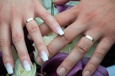 Wedding Couple Hands With Rings Royalty Free Stock Images Wedding Couple Hands With Rings Royalty Free Stock Images