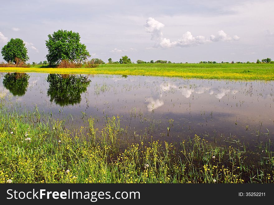 Beautiful spring landscape and water meadow