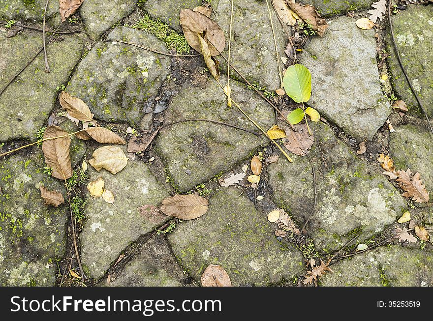 Natural Background alley of stones in autumn