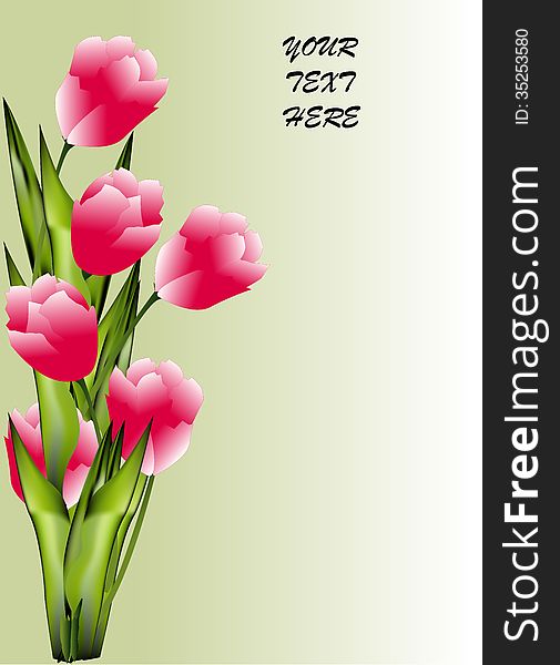 Bunch of pink tulip on shaded green background. Bunch of pink tulip on shaded green background