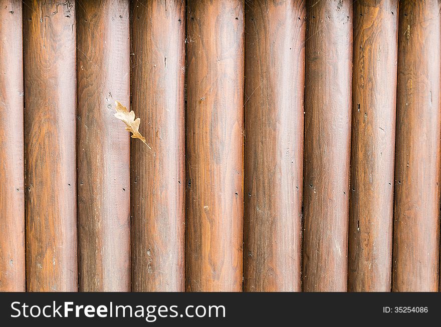 Natural Background wall of wood with leaf on trap