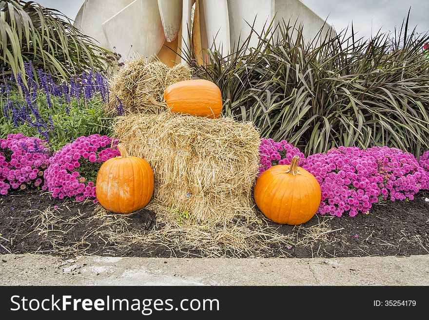 Pumpkins flowers and hay Halloween decoration. Pumpkins flowers and hay Halloween decoration