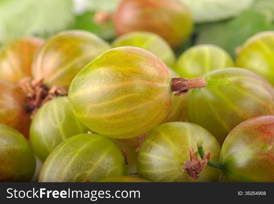 Green gooseberries in a group