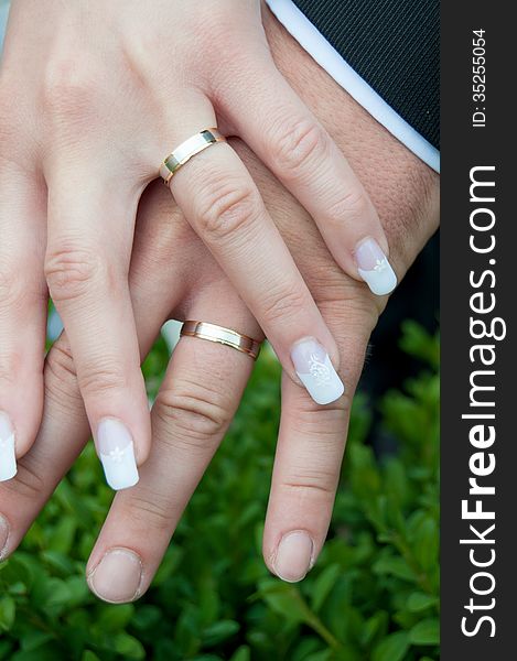 Newlyweds holding their hands with wedding rings.