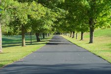 Driveway Lined By Trees Stock Photos Driveway Lined By Trees Stock Photos
