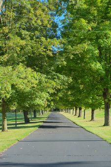 Driveway Lined By Trees Stock Photography Driveway Lined By Trees Stock Photography