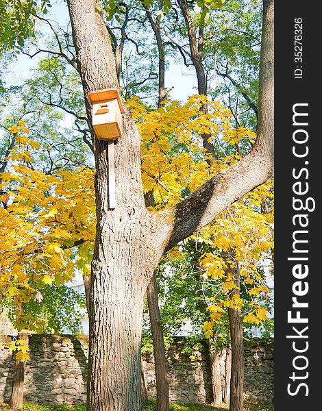 Wooden birdhouse on a tree in the autumn park