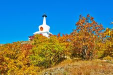 The White Tower And Autumn Forest Royalty Free Stock Photo