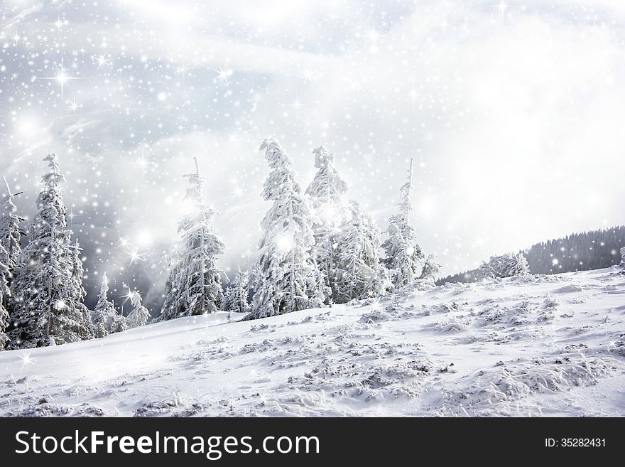 Christmas background with snowy fir trees under the glistering sky