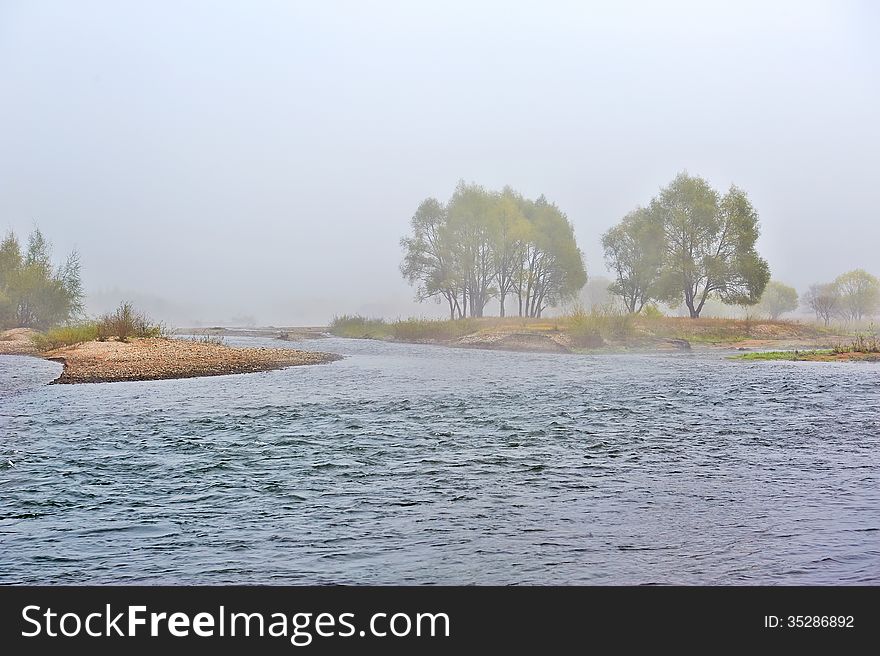 The Trees In Advection Fog And Yalu River