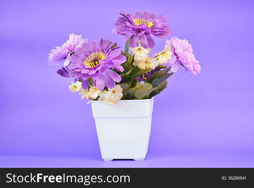 Purple flower in pot