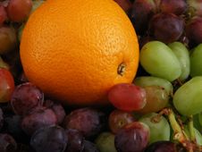 Orange And Grapes 2 Royalty Free Stock Photos Orange And Grapes 2 Royalty Free Stock Photos