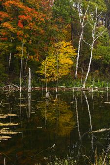 Autumn Reflections Royalty Free Stock Image Autumn Reflections Royalty Free Stock Image