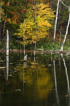 Autumn Reflections Royalty Free Stock Images Autumn Reflections Royalty Free Stock Images
