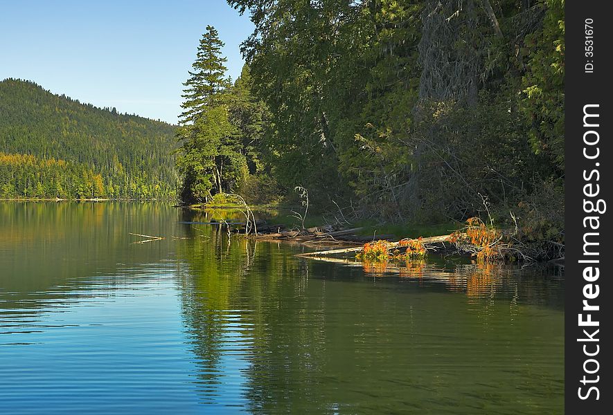 The lake surrounded by a dense fir forest. The lake surrounded by a dense fir forest