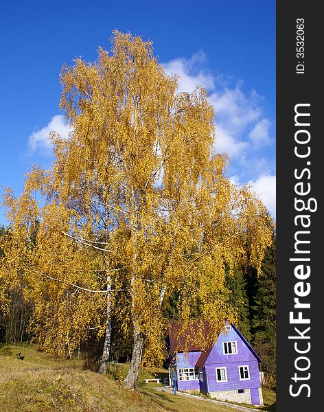 Small house for rest in Carpathian mountains. Small house for rest in Carpathian mountains
