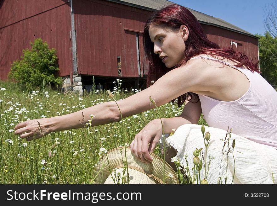Beautiful  young woman with red hair picking wild flowers in a field with a red barn in the background. Beautiful  young woman with red hair picking wild flowers in a field with a red barn in the background