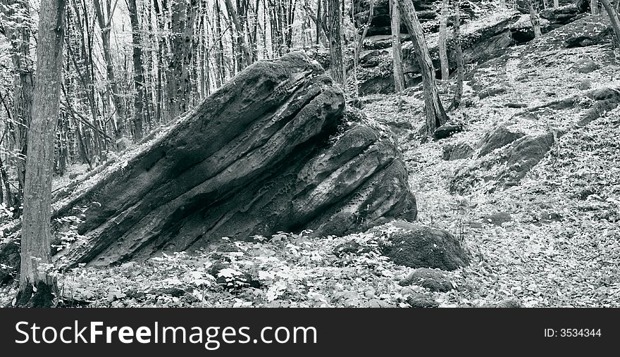 AN image of old stone in forest