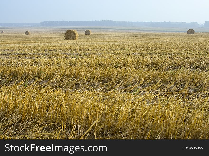 Hay Bale fields