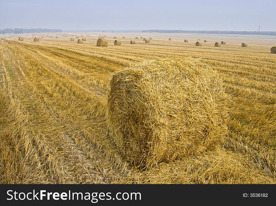 Harvested fields with hay bales. Harvested fields with hay bales