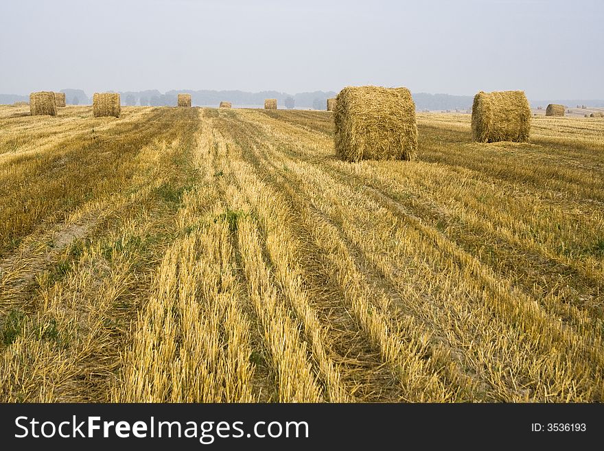 Harvested fields with hay bales. Harvested fields with hay bales