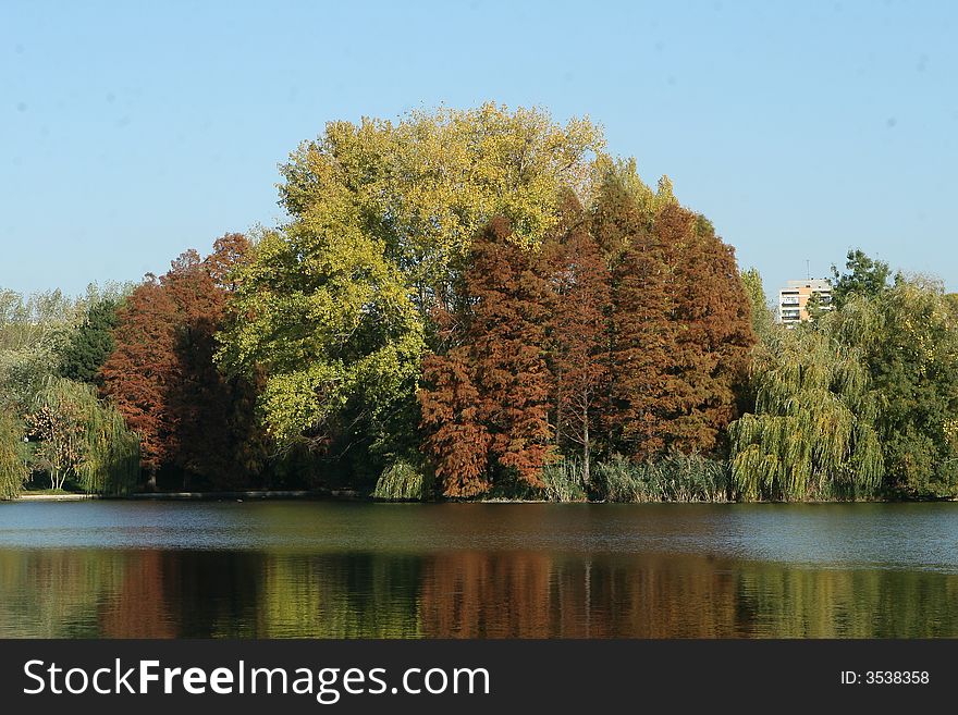 Many colored trees over the lake