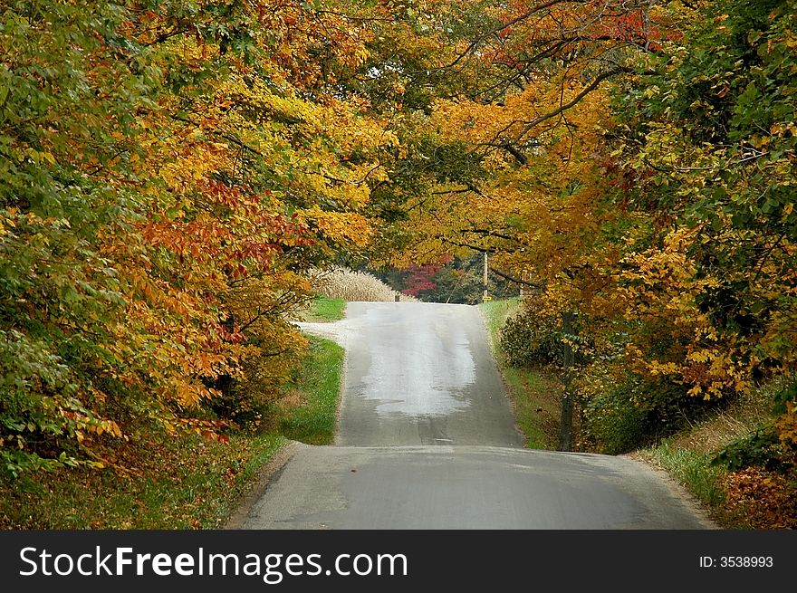 A scene with fall colors and a rolling road. A scene with fall colors and a rolling road