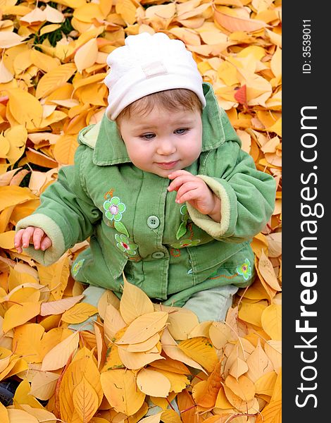 Baby In Autumn Leaves