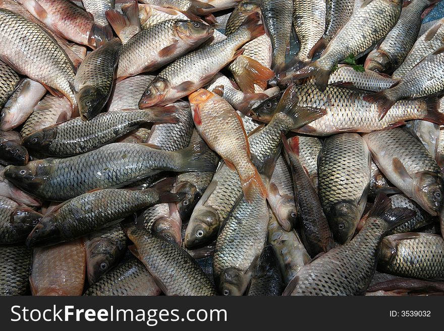 Pile of fresh fish at market