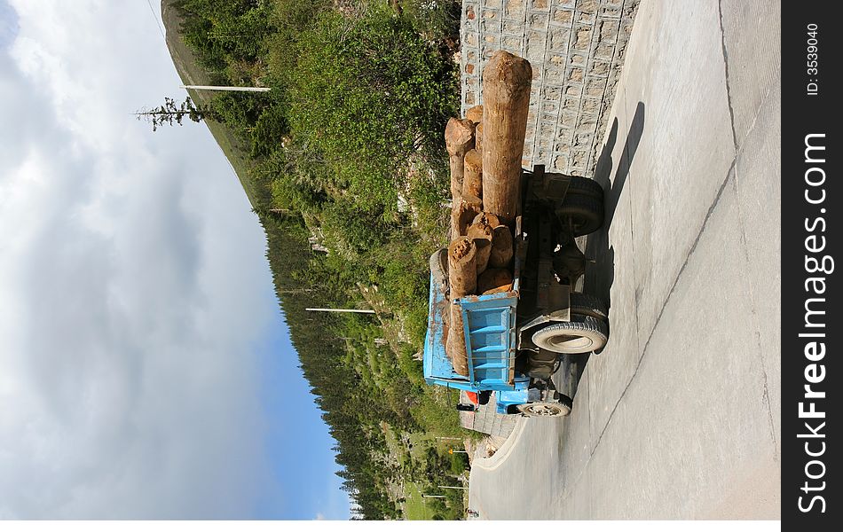 Truck with logs in China