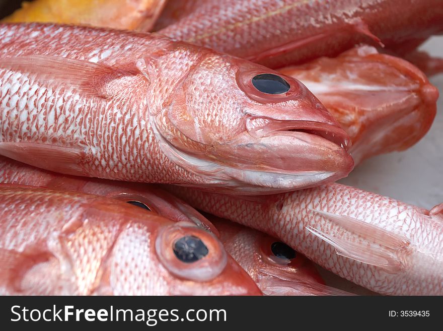 A small harvest of deep sea red fish. A small harvest of deep sea red fish