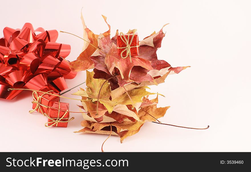 Maple Leaf And Gift