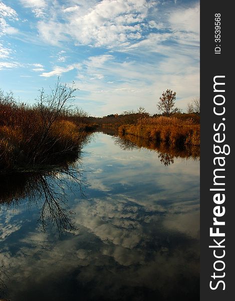 A creek with tree and reflexes