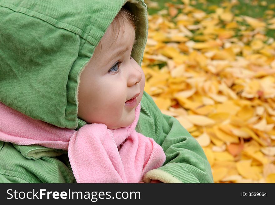 Baby in autumn leaves