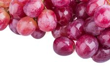 Grapes Royalty Free Stock Images Grapes Royalty Free Stock Images