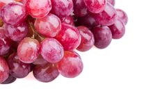 Wet Grapes Royalty Free Stock Photos Wet Grapes Royalty Free Stock Photos