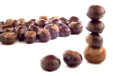 Chestnuts Royalty Free Stock Image Chestnuts Royalty Free Stock Image
