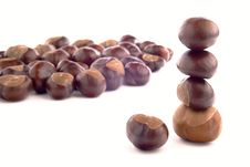 Chestnuts Stock Photos Chestnuts Stock Photos