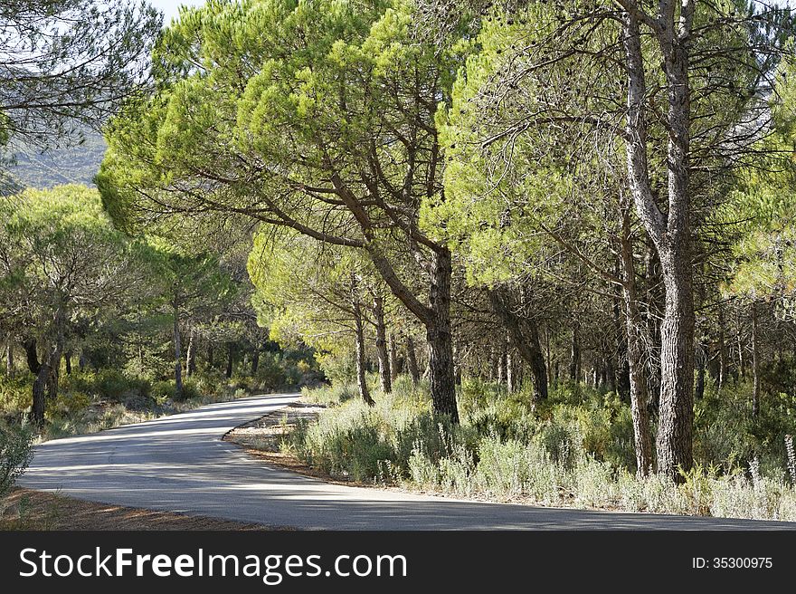 Image of mountain road to refugio de juanar, near Marbella, spain. Image of mountain road to refugio de juanar, near Marbella, spain.