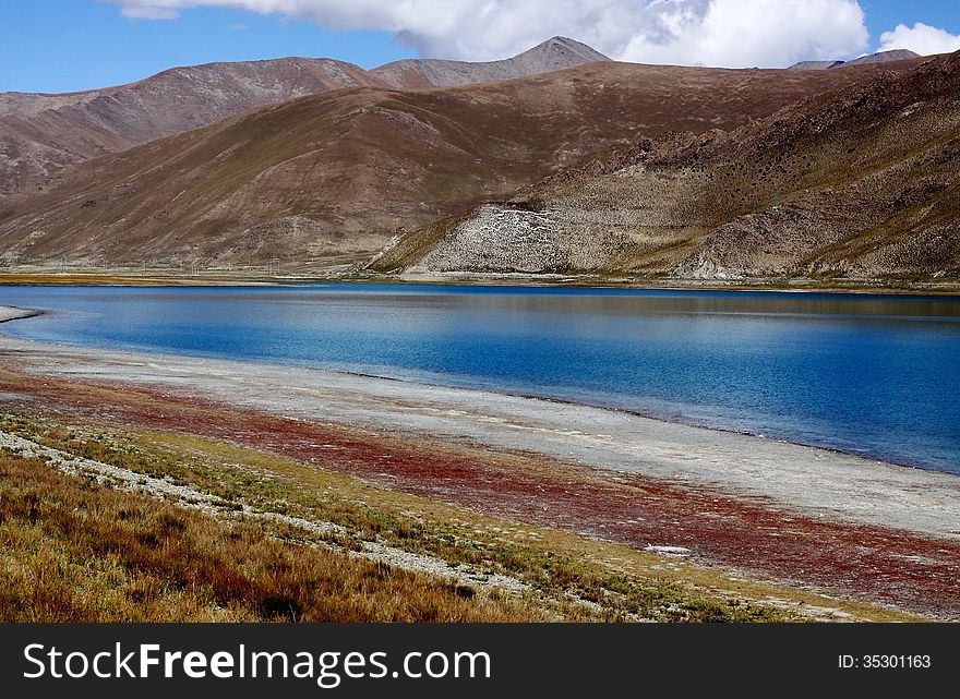 A beautiful meadow by the lake Yamdrok Tso in Tibet.