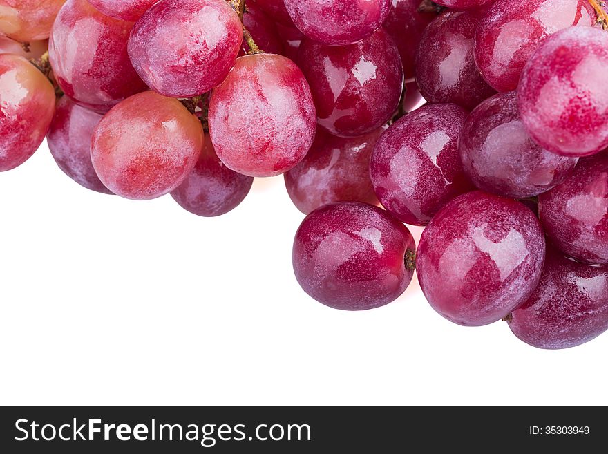 Wet grapes in close-up